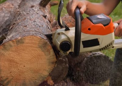 Evanston Tree Services