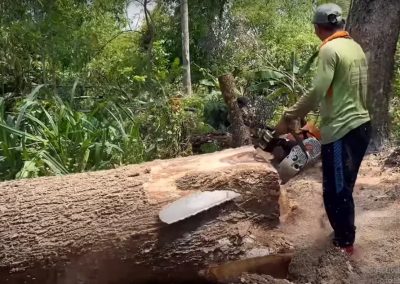 Tree Care Equipment Service