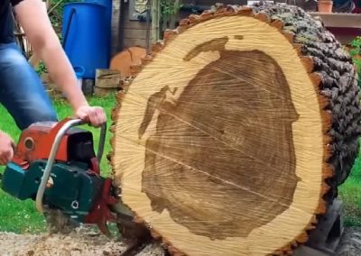 Tree Maintenance Service