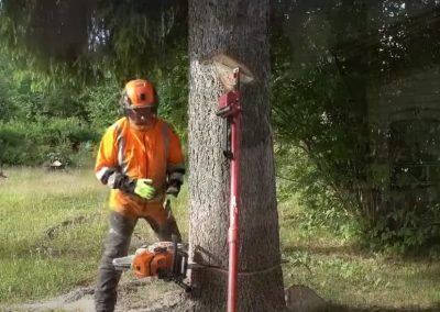 Evanston Tree Solutions